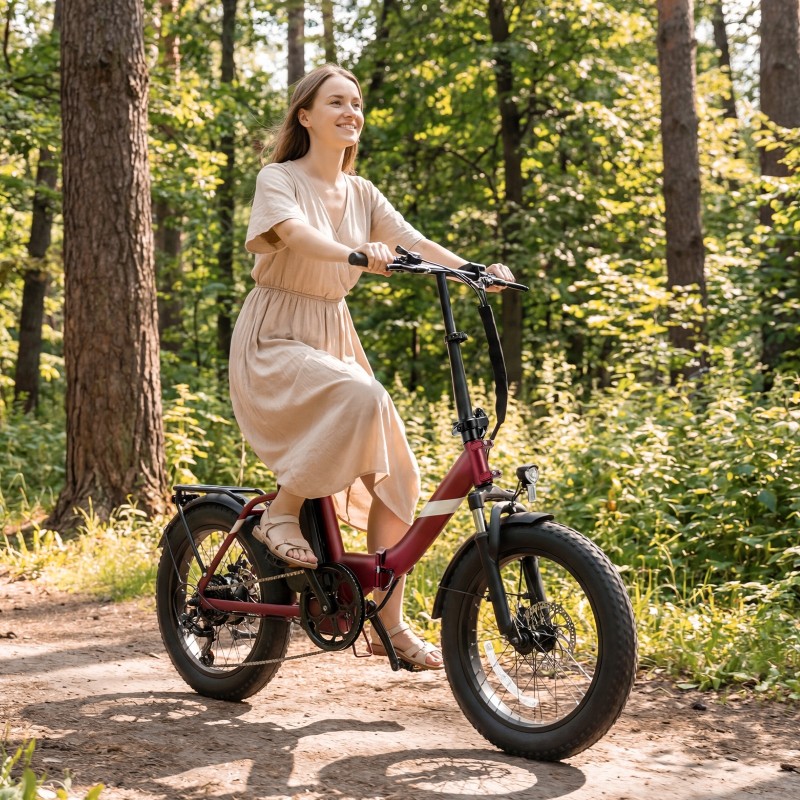 Touroll S3 Pro Klapp-Fatbike Pedelec 27Ah Akku 195 km StVZO 25km/h Rot