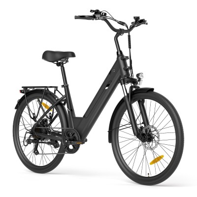 Touroll J2 ST Pro Trekking E-Bike Step-Thru 100 km StVZO Straßenzulassu