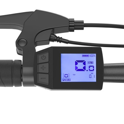 Touroll J1 Step-over Trekking E-Bike 250W | 100 km Reichweite | StVZO-Licht