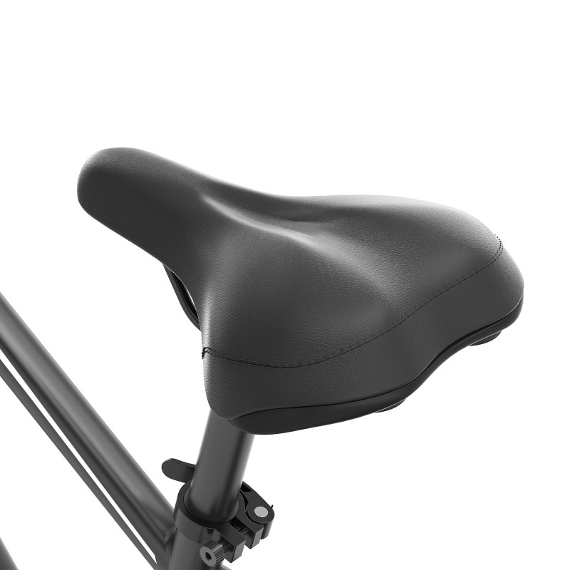 Touroll J1 Step-over Trekking E-Bike 250W | 100 km Reichweite | StVZO-Licht
