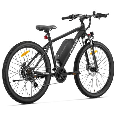 Foride Xtremer 2 E-Bike 29" 15,6 Ah 120 km StVZO Straßenzulassung