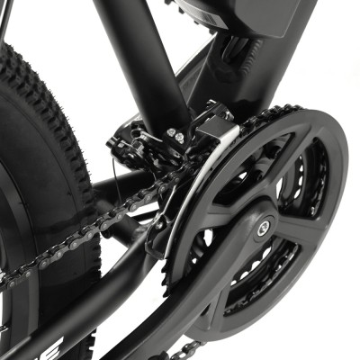 Foride Xtremer 2 E-Bike 29" 15,6 Ah 120 km StVZO Straßenzulassung