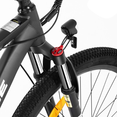 Foride Xtremer 2 E-Bike 29" 15,6 Ah 120 km StVZO Straßenzulassung