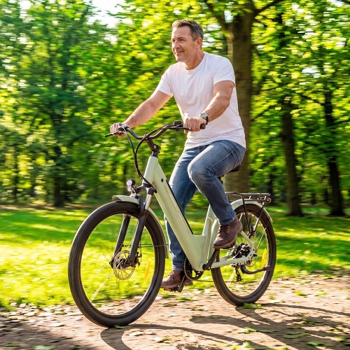 Touroll J1 Trekking E-Bike 27,5" 100km Reichweite 250W StVZO 45 Nm