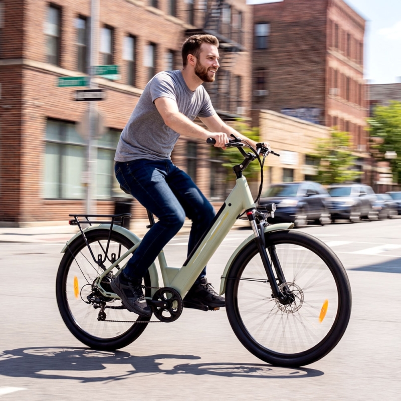 Touroll J1 Trekking E-Bike 27,5" 100km Reichweite 250W StVZO 45 Nm