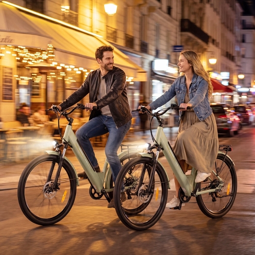 Touroll J1 Trekking E-Bike 27,5" 100km Reichweite 250W StVZO 45 Nm