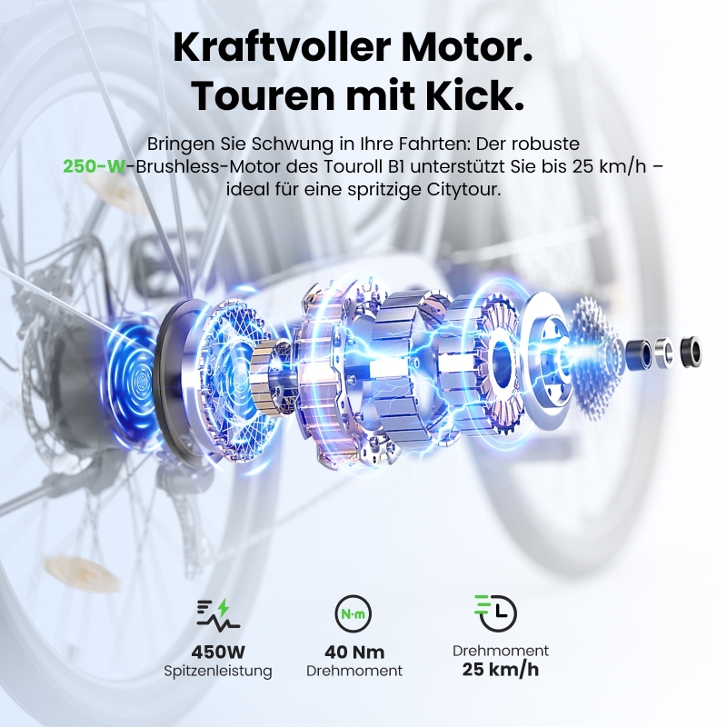 Touroll B1 City E-Bike 26 Zoll Step-Through 250W 90 km Reichweite