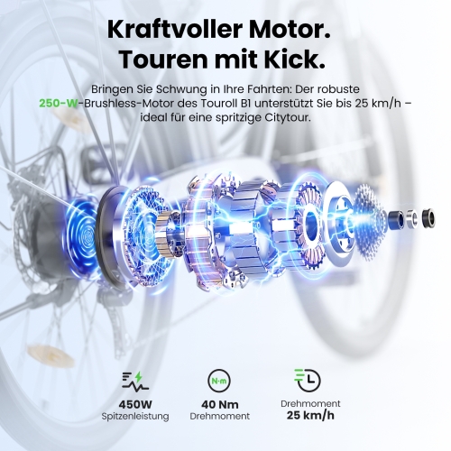 Touroll B1 City E-Bike 26 Zoll Step-Through 250W 90 km Reichweite