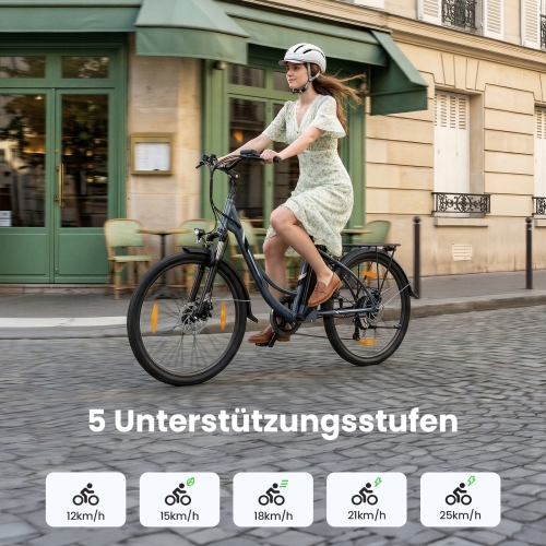 Touroll B1 City E-Bike 26 Zoll Step-Through 250W 90 km Reichweite