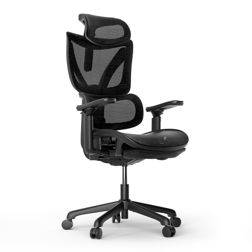 ACGAM CG-5245M Ergonomischer Bürostuhl mit mit verstellbarer Lordosenstütze Fußstütze