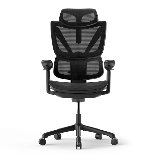 ACGAM CG-5245M Ergonomischer Bürostuhl mit mit verstellbarer Lordosenstütze Fußstütze