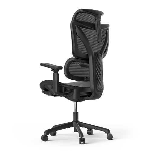 ACGAM CG-5245M Ergonomischer Bürostuhl mit mit verstellbarer Lordosenstütze Fußstütze