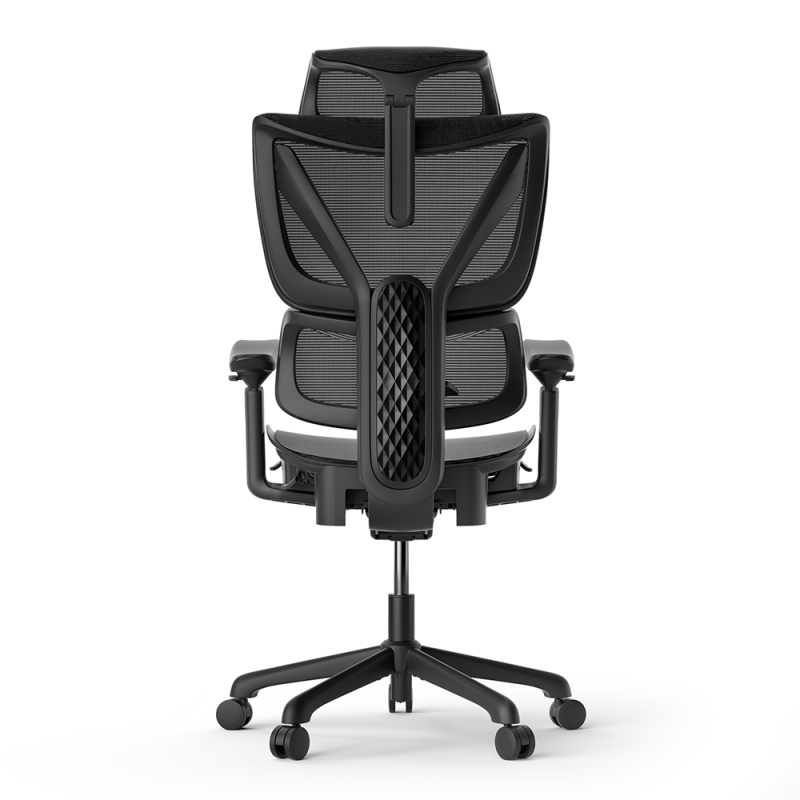 ACGAM CG-5245M Ergonomischer Bürostuhl mit mit verstellbarer Lordosenstütze Fußstütze