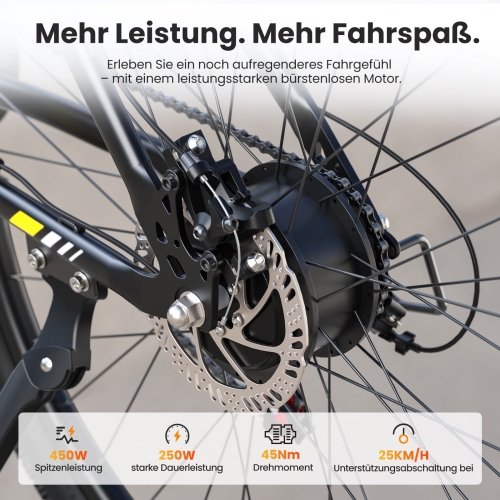 Touroll U1 Step-over E-Mountainbike 29 Zoll 250W Shimano StVZO