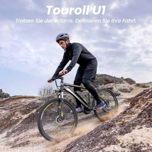 U1 EU-Stecker High-Step 29 Zoll 3613Ah 250W E-Bike 2