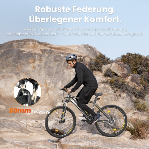 Touroll U1 Step-over E-Mountainbike 29 Zoll 250W Shimano StVZO