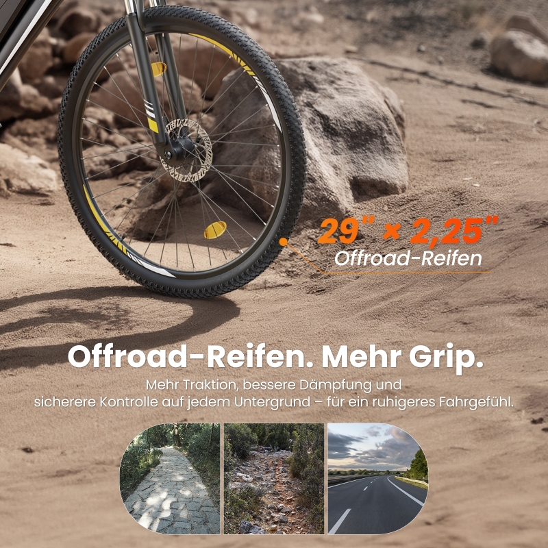 Touroll U1 Step-over E-Mountainbike 29 Zoll 250W Shimano StVZO