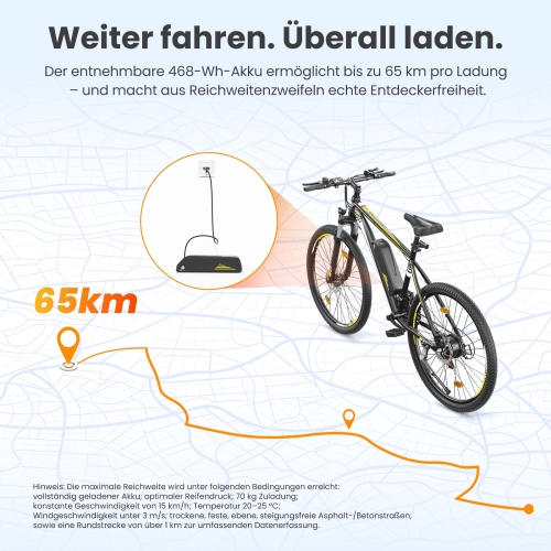 Touroll U1 Step-over E-Mountainbike 29 Zoll 250W Shimano StVZO