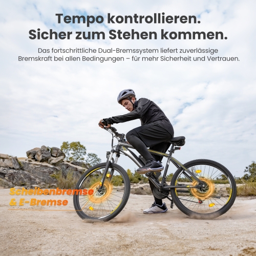 Touroll U1 Step-over E-Mountainbike 29 Zoll 250W Shimano StVZO