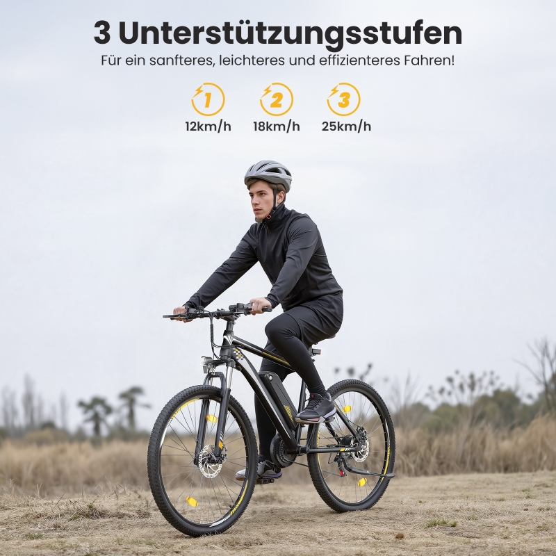 Touroll U1 Step-over E-Mountainbike 29 Zoll 250W Shimano StVZO