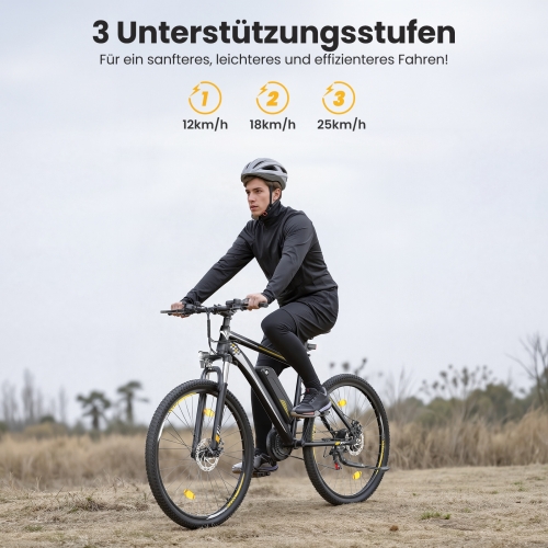 Touroll U1 Step-over E-Mountainbike 29 Zoll 250W Shimano StVZO