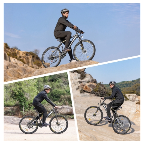 Touroll U1 Step-over E-Mountainbike 29 Zoll 250W Shimano StVZO