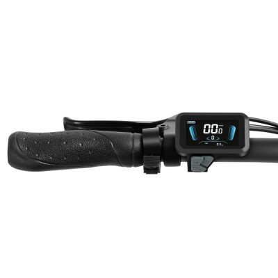 S2 Pro EU-Stecker 20 Zoll 48V15Ah E-Bike