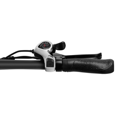 S2 Pro EU-Stecker 20 Zoll 48V15Ah E-Bike