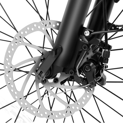 Touroll S2 Blau EU-Stecker Step-Thru 20 Zoll 48V15Ah 250W E-Bike