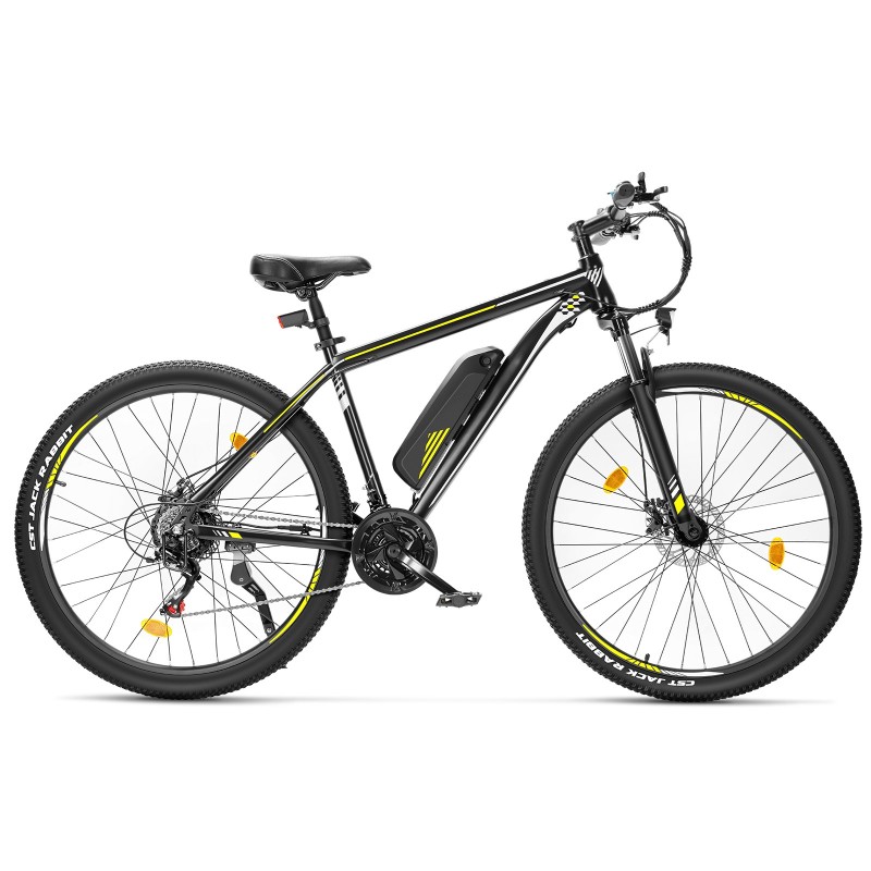 U1 EU-Stecker High-Step 29 Zoll 3613Ah 250W E-Bike