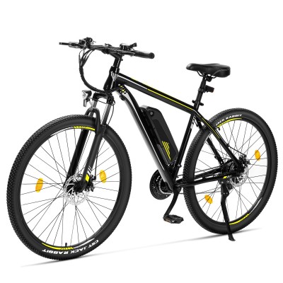 U1 EU-Stecker High-Step 29 Zoll 3613Ah 250W E-Bike