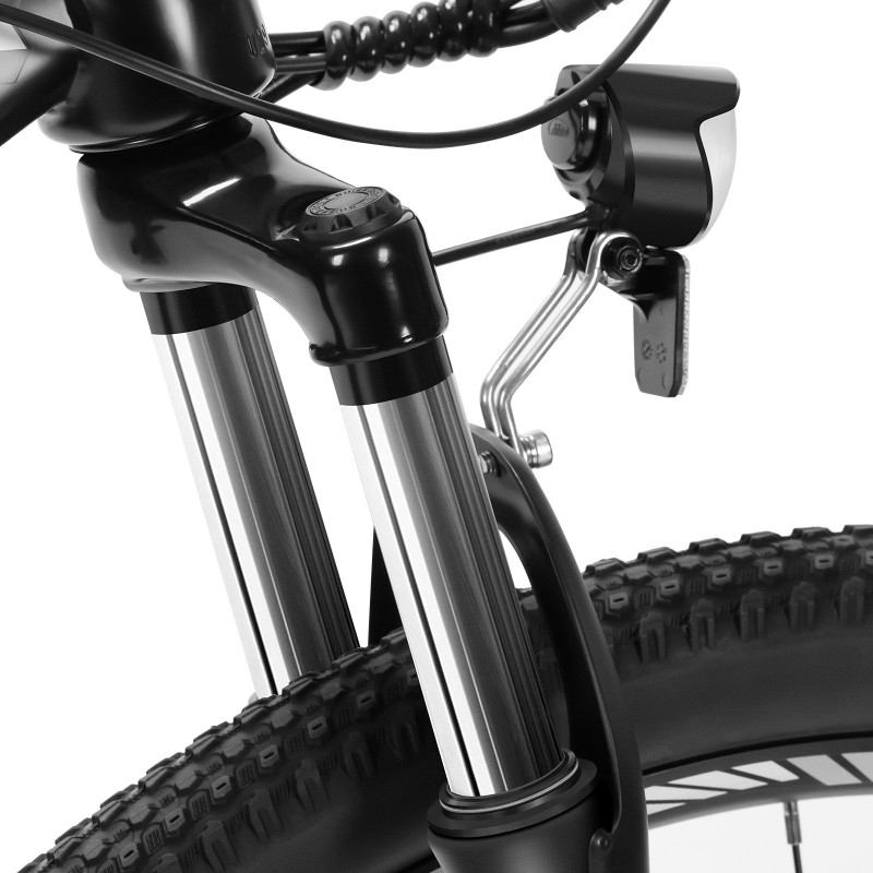 U1 EU-Stecker High-Step 29 Zoll 3613Ah 250W E-Bike