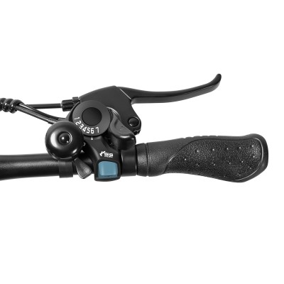 U1 EU-Stecker High-Step 29 Zoll 3613Ah 250W E-Bike