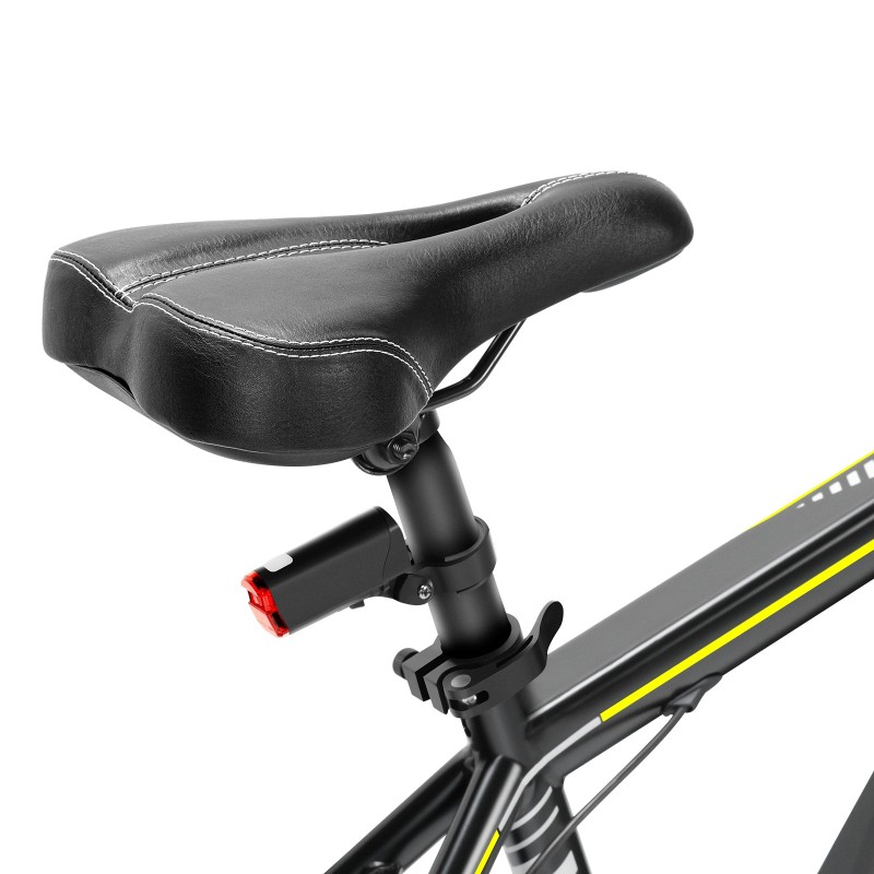 U1 EU-Stecker High-Step 29 Zoll 3613Ah 250W E-Bike