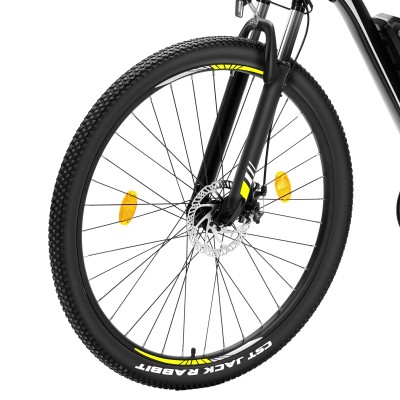 U1 EU-Stecker High-Step 29 Zoll 3613Ah 250W E-Bike