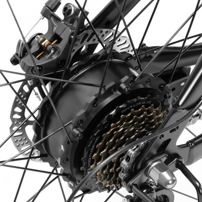 U1 EU-Stecker High-Step 29 Zoll 3613Ah 250W E-Bike