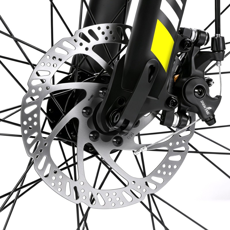 U1 EU-Stecker High-Step 29 Zoll 3613Ah 250W E-Bike