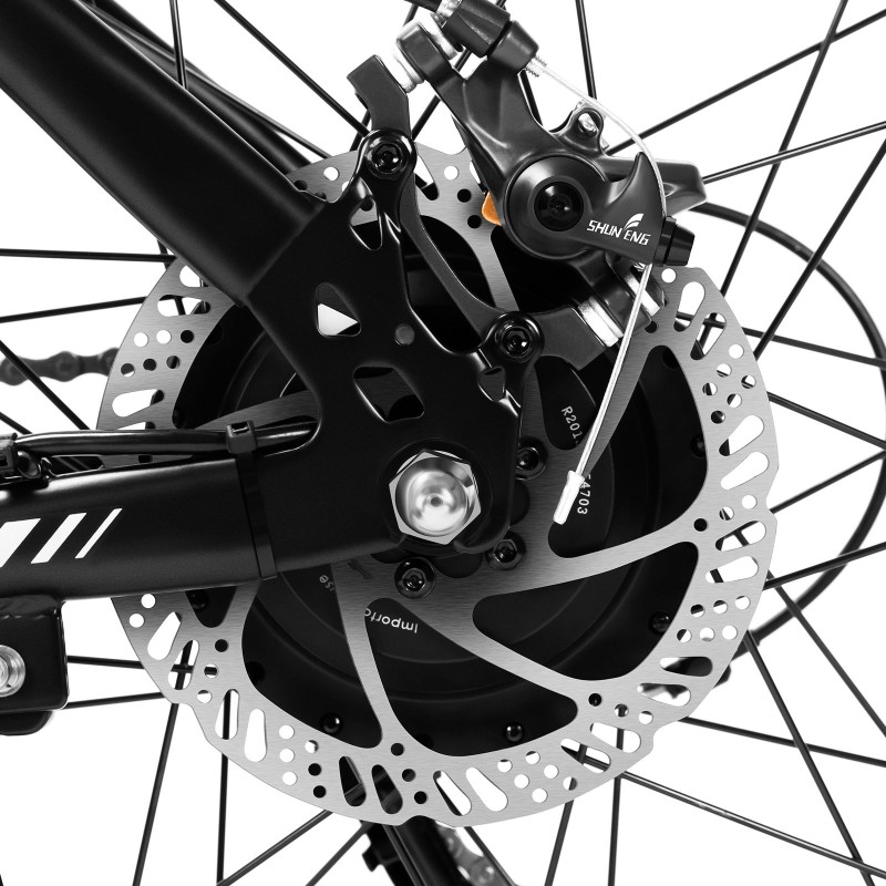 U1 EU-Stecker High-Step 29 Zoll 3613Ah 250W E-Bike