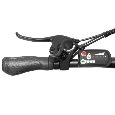 U1 EU Stecker Hochgeschwindigkeits 26 Zoll 36V13Ah 250W E-Bike