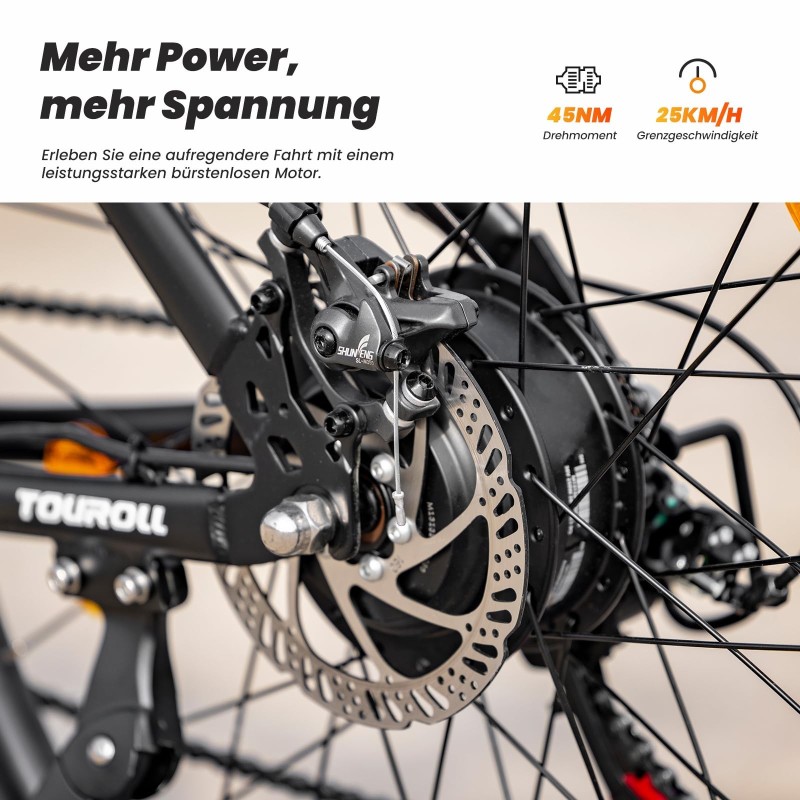 Touroll U1 Step-over E-Mountainbike 29 Zoll 250W Shimano StVZO