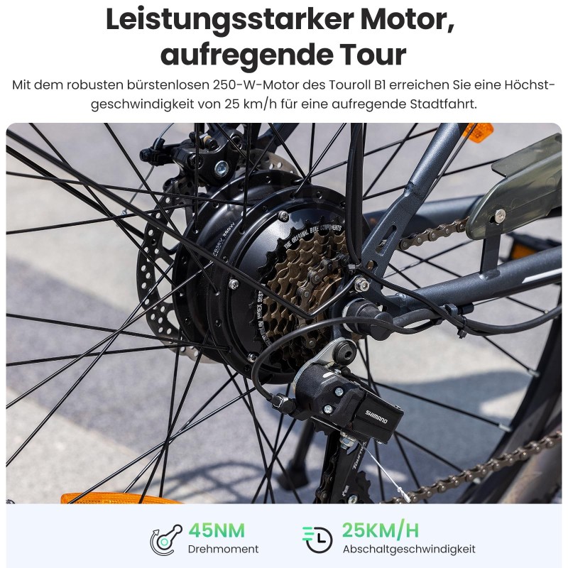Touroll B1 E-Bike 26 Zoll Step-Through 250W 90 km Reichweite