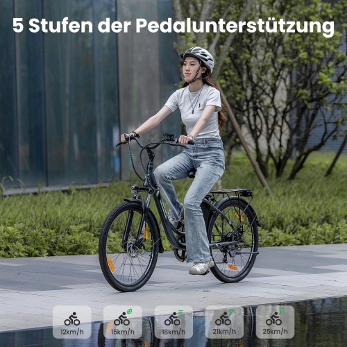 B1 Grau EU-Stecker Step-Thru 26 Zoll 36V15 6Ah 250W E-Bike 2