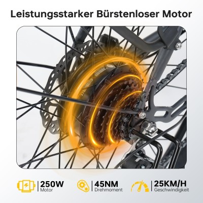 Eleglide T2 E-Bike 27.5 Zoll Citybike 250W 100 km Reichweite