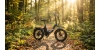 E-Bike im Wald: Sind Waldwege erlaubt? Regeln, Reifen & Tipps für 2026