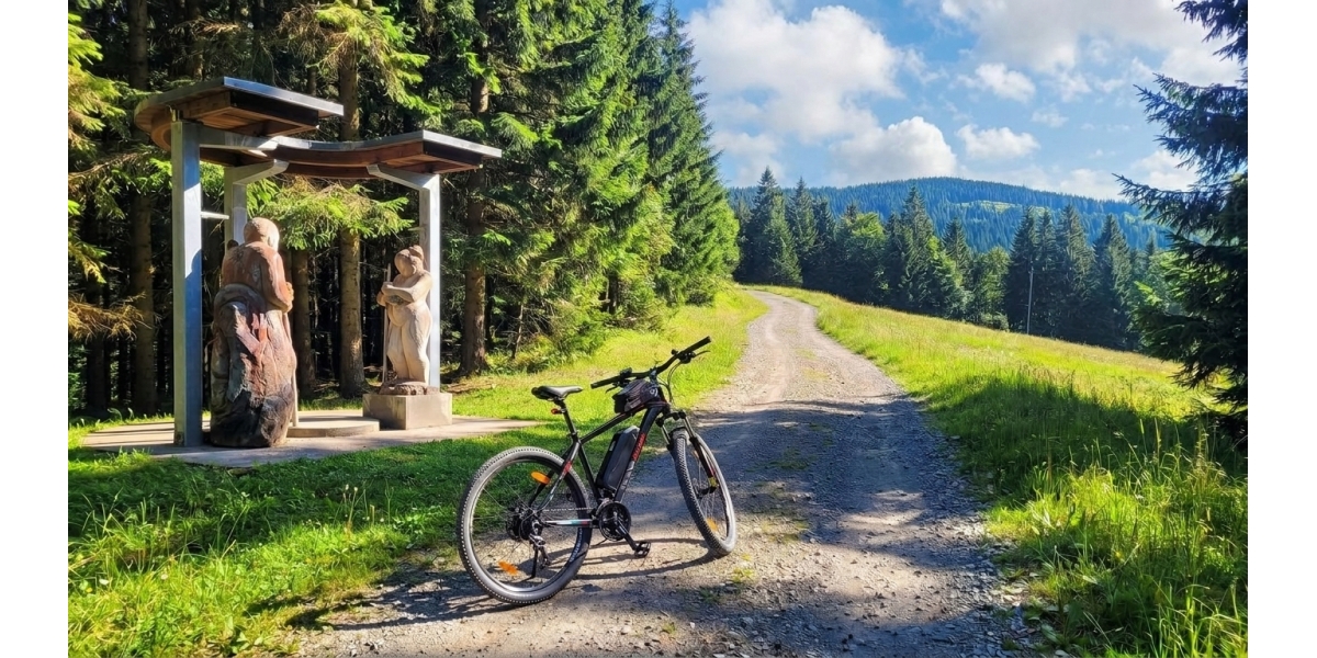 Eleglide Mopride 2 Test: Ist das E-Mountainbike für Waldwege und Touren geeignet?