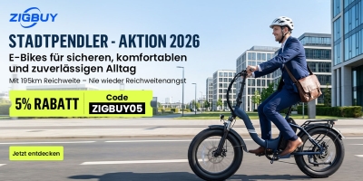 STVZO-konforme E-City-Bikes 2026: Touroll S2 Pro als vielseitiger Allrounder im Fokus